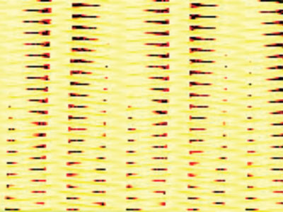 贴合机网带 贴合机网带